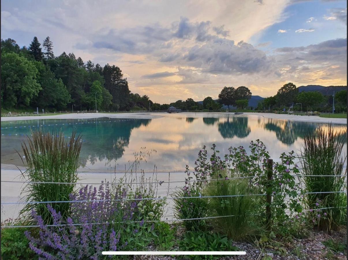 Les Glycines, Charmant Studio Au Calme Dans Batisse De Maitre Proche Du Centre Ville Parking Gratuit Digne-les-Bains Exterior foto